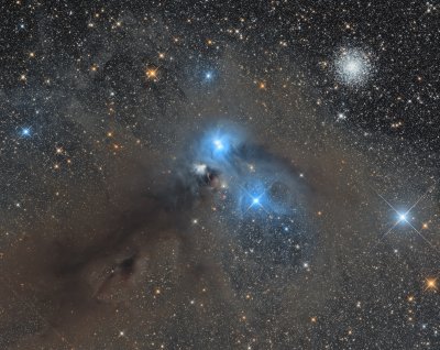 The Corona Australis molecular cloud