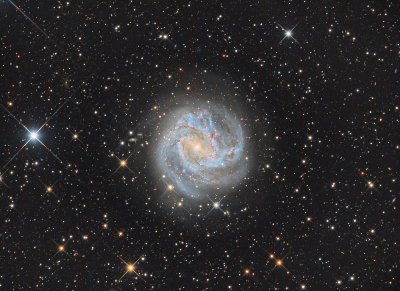 M83 in Hydra