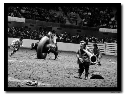 Rodeo-05_Bullfighters.jpg