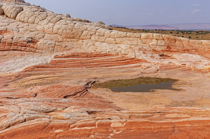 Waterpocket
