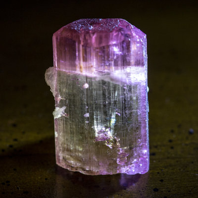 Tourmaline, bi-color