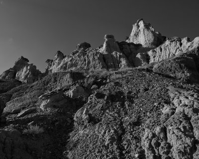 Lybrook Badlands Fossil Area