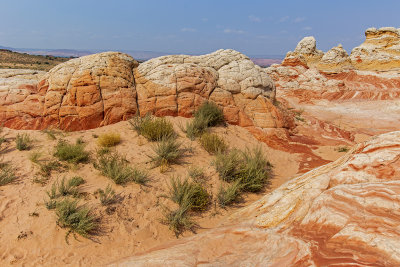 Invading dune