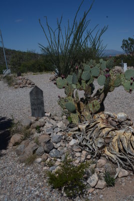 W M Whitehill Boot Hill Tombstone Arizona