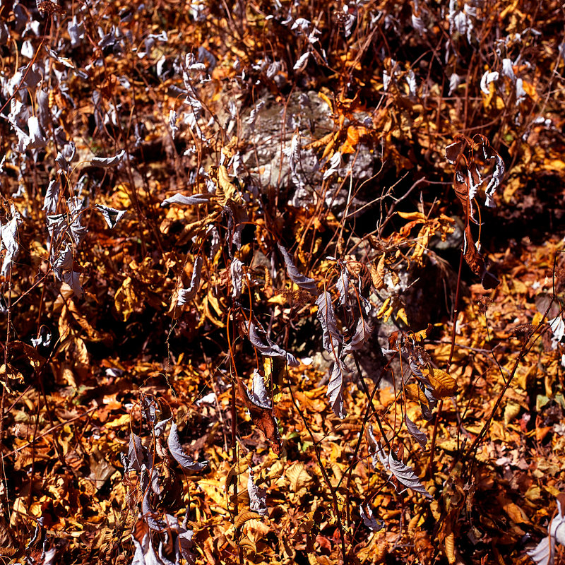 SCAN021.jpg