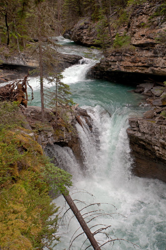 Johnston Canyon