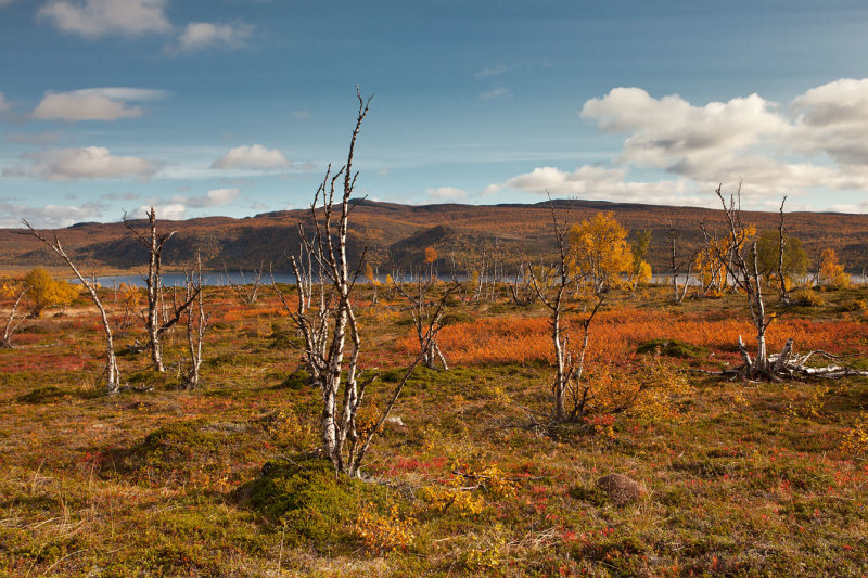 Finland: Nature