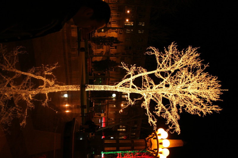 Tree1.JPG