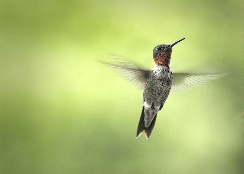 In Flight