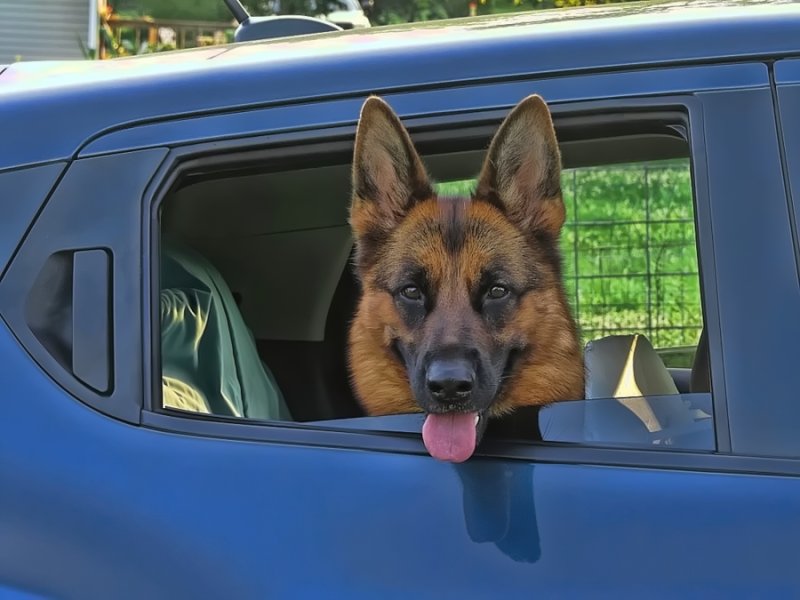 Time for a drive