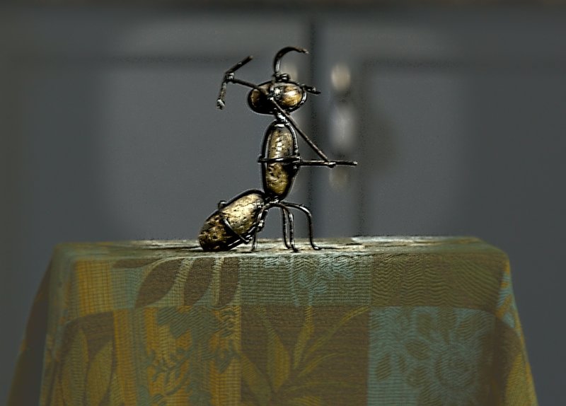 rock ant