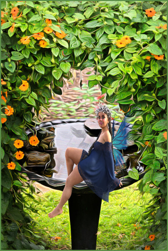 Fairy Garden