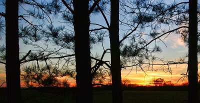 Img_1888.jpg
