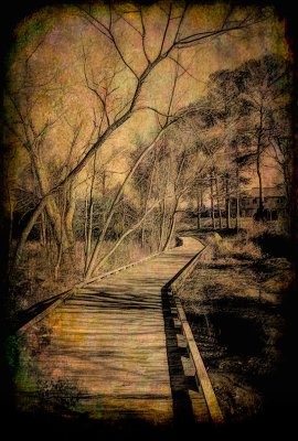 Nature Trail