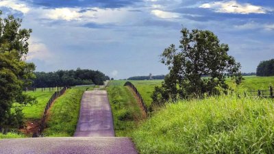 Country Road