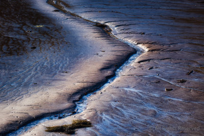 Drainage Blues