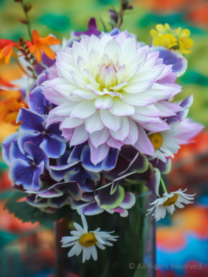 Purple to White