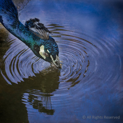 Quenching