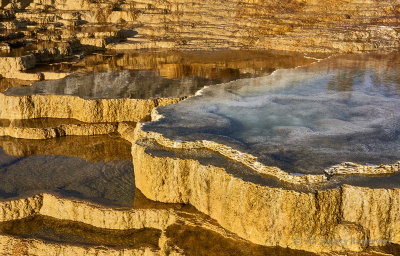 Mammoth Hot Springs