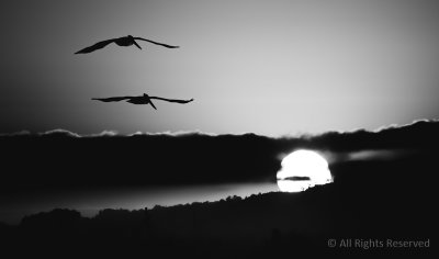 Heading for the Sun