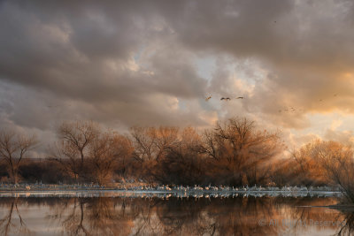 Evening on the Pond
