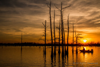 Fishing at Sunset