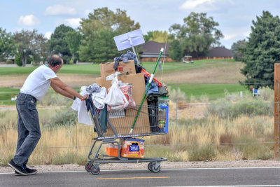 Shopping Cart Meets Golf Carts