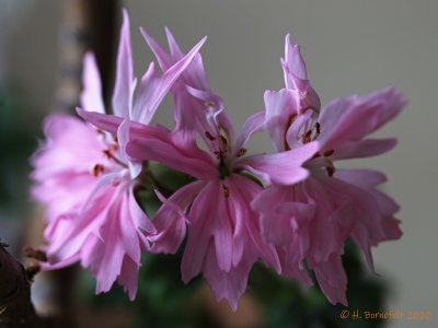 g12/15/960615/3/171183955.dEZF0BkM.jpg