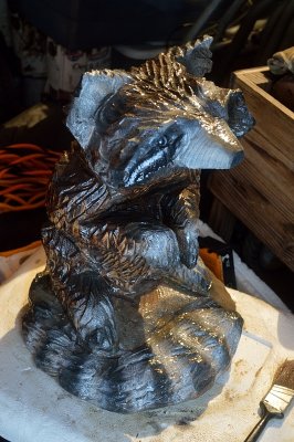 Raccon