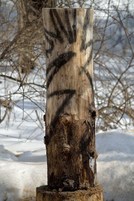 g12/15/978415/3/168873089.sj8EYv1r.jpg