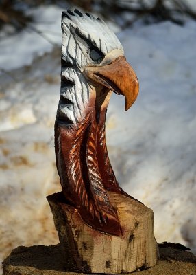 18 firewood eagle