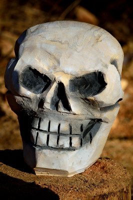 Skull 1