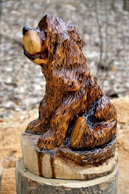 Sittin' pooch