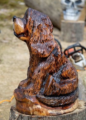 Sitting pooch complete