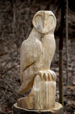 owl