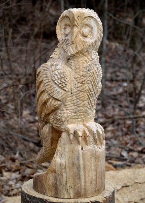 owl
