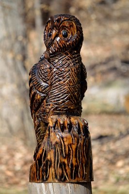 Owl complete