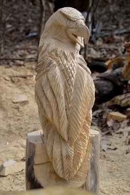 Elm eagle start