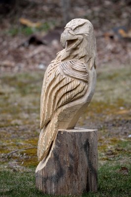 Elm eagle start