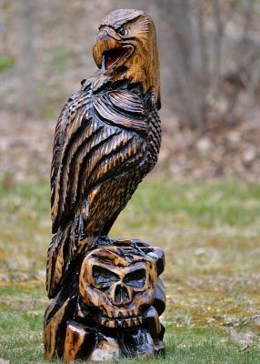 Eagle complete