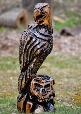 Eagle complete