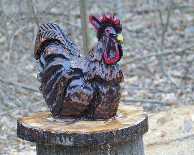 Poplar rooster