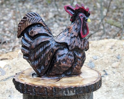 Poplar rooster