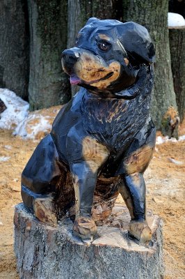 Chainsaw rottweiler