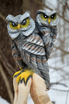 owl couple