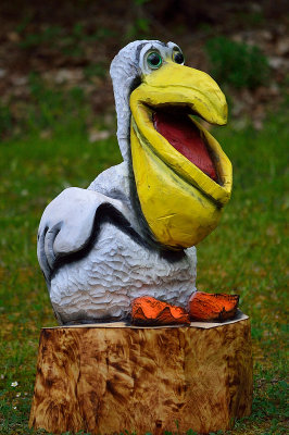 Goofy pelican
