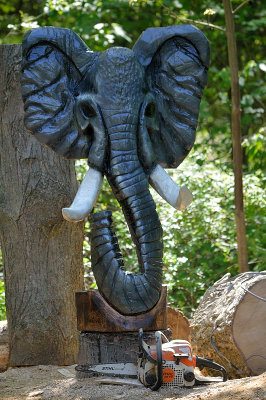 Maple elephant