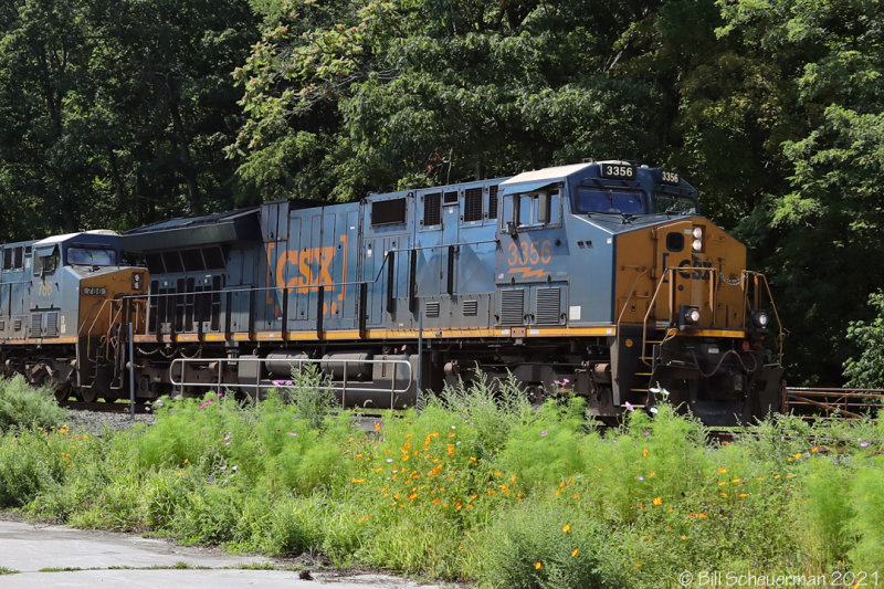 CSX 3356