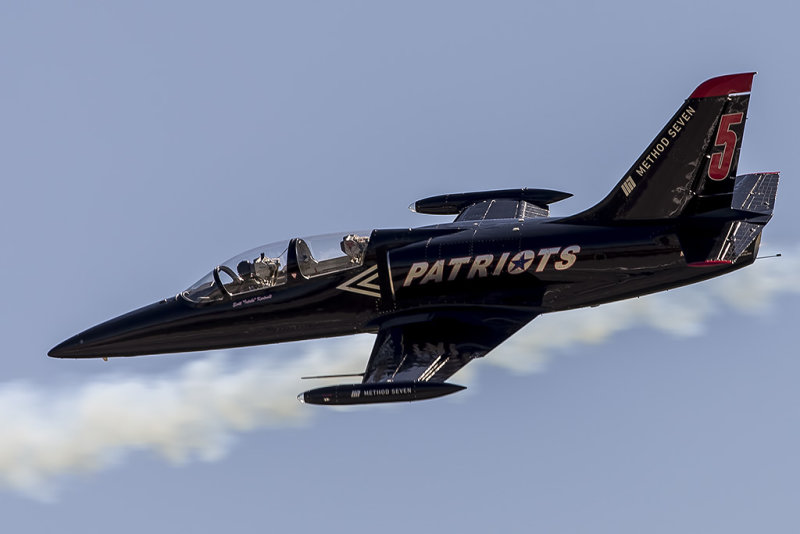 Patriots Jet Demonstration Team  Aero L-39 Albatros