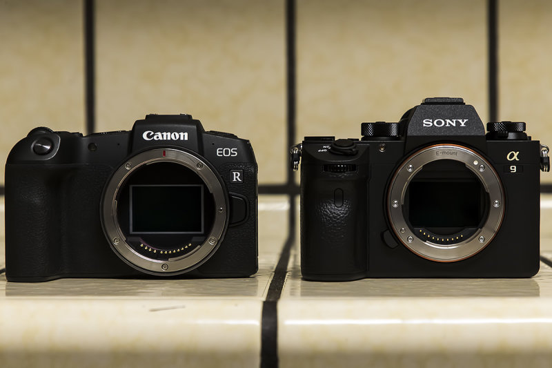 9/18/2019  Canon EOS RP and Sony A9